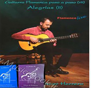 Flamenco Guitar Step by Step Vol. 8 DVD + Booklet