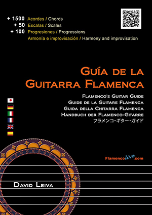 Flamenco´s Guitar Guide (Book) - David Leiva