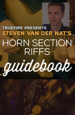 Steven van der Nat - Horn Section Riffs Guidebook DVD