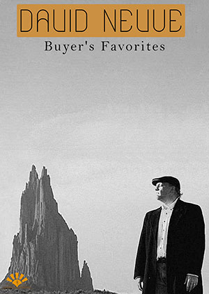 David Nevue - Buyer's Favorites Piano Book