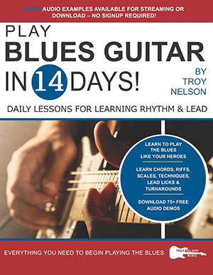 How to Play Blues Guitar in 14 Days + CD